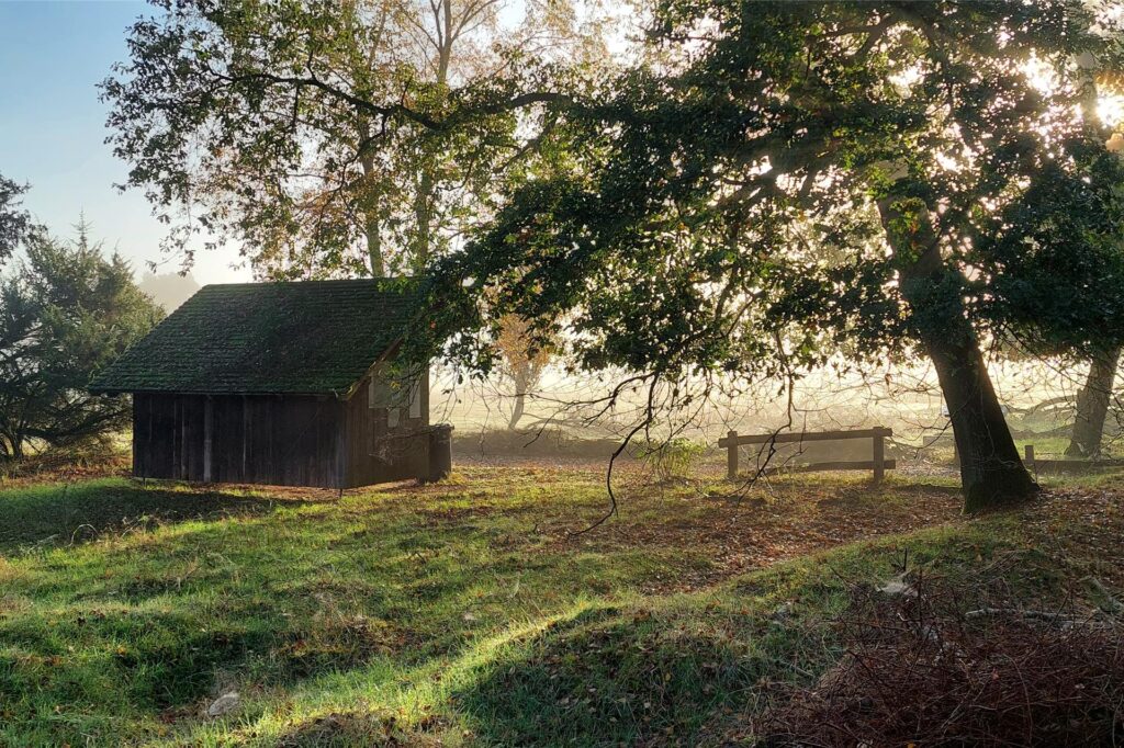 Sonnenaufgang in der Westruper Heide mit Hütte und Bäumen im März 2025 bei leichtem Nebel in Haltern am See.