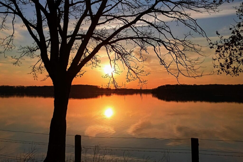 Sonnenuntergang am Halterner Stausee im März 2025 während einer Radtour blick auf die tief stehende Sonne über dem See mit Baum und Zaun.