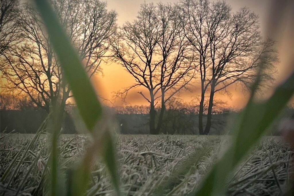Sonnenaufgang im Frühling an den Lippwiesen mit leichtem Nebel in Haltern am See bei Bergbossendorf im März 2025