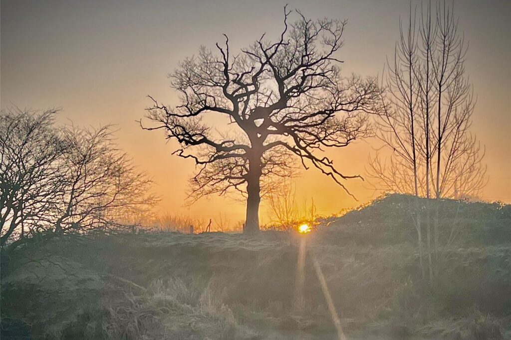 Sonnenaufgang im Frühling an den Lippwiesen mit leichtem Nebel in Haltern am See bei Bergbossendorf im März 2025
