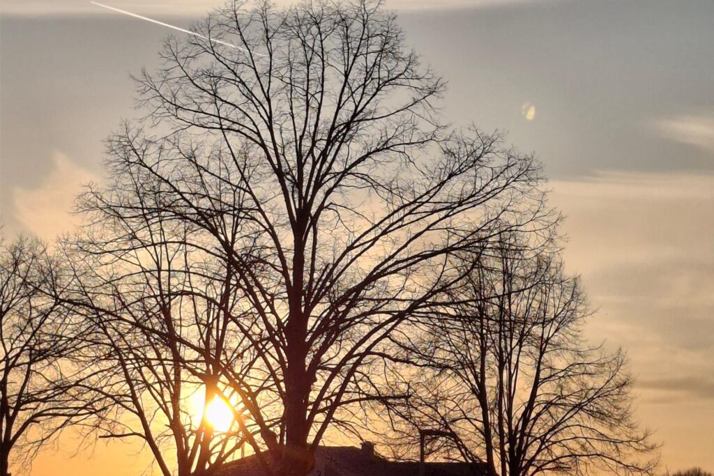 Sonne Frühling Bilder Dämmerung Fotografie Haltern