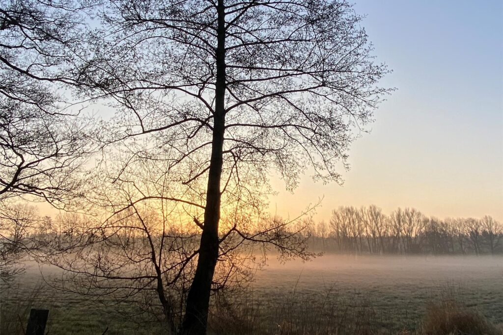 Sonnenaufgang in Haltern am See im März 2025 mit Blick auf Nebelschwaden über einer Wiese.