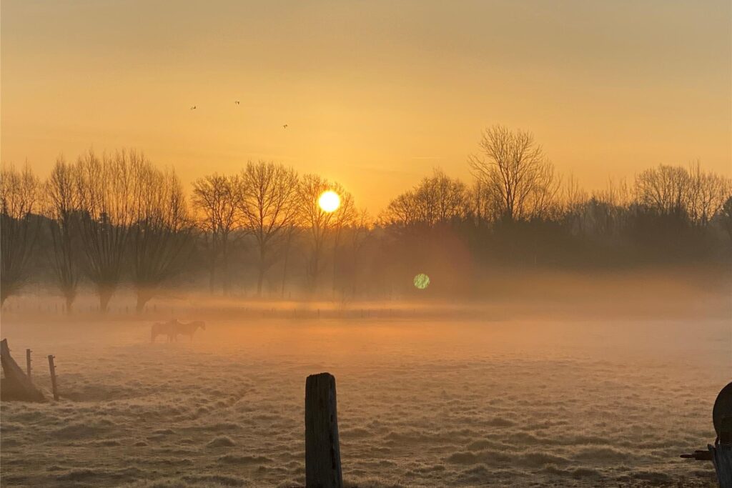 Sonnenaufgang in Haltern am See im März 2025 mit Blick auf Nebelschwaden über einer Wiese.