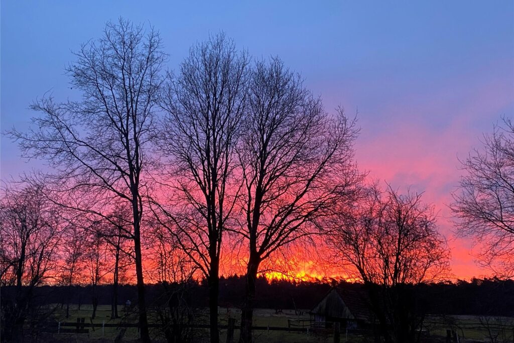 Sonnenaufgang fotografiert im März 2025 in Haltern mit blick auf Bäume und angestrahlte Wolken in der Dämmerung