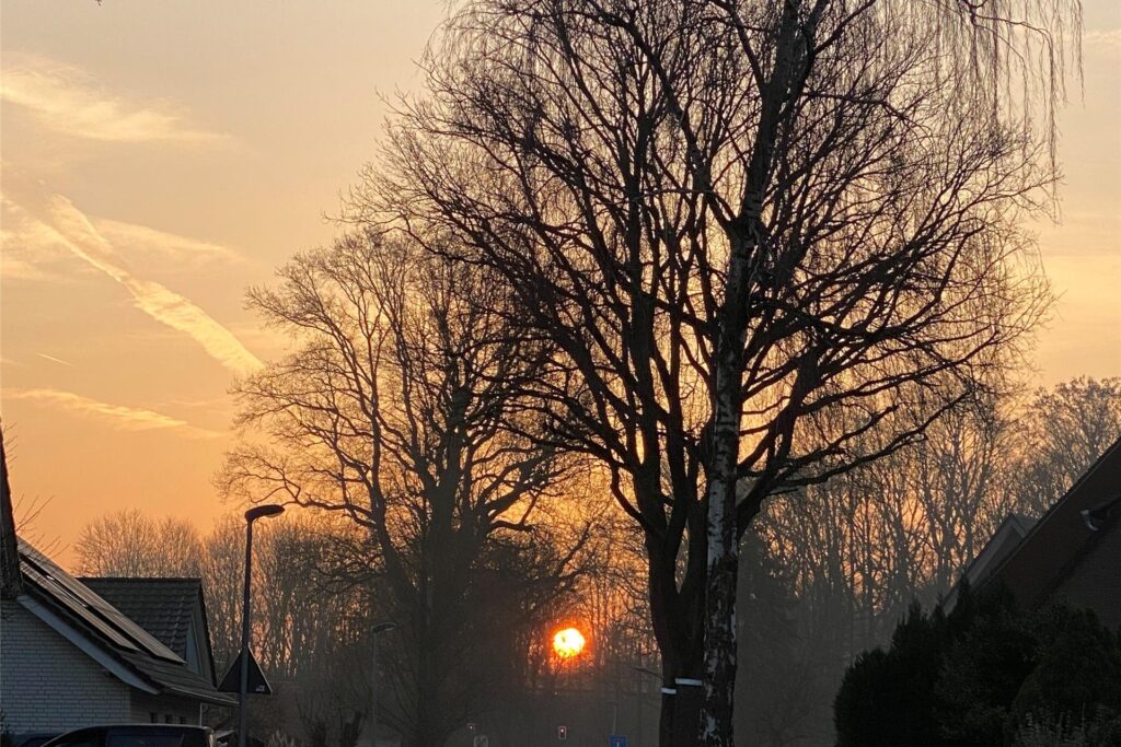 Sonnenaufgang in Haltern am See mit Blick auf Bäumen im März 2025