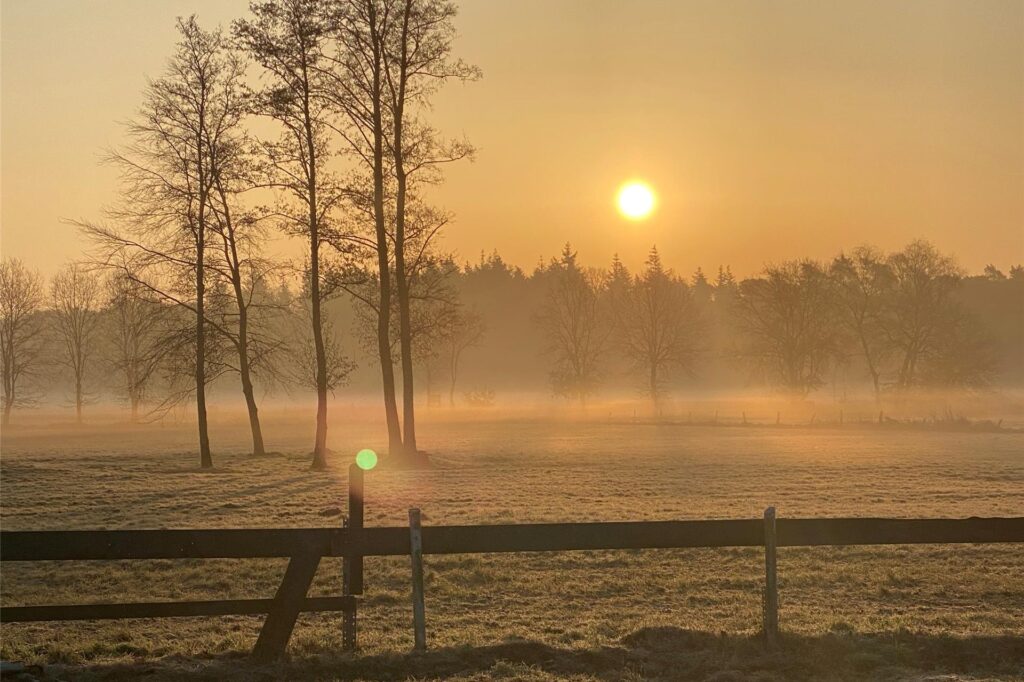 Sonnenaufgang in Haltern am See im März 2025 mit Blick auf Nebelschwaden über einer Wiese.