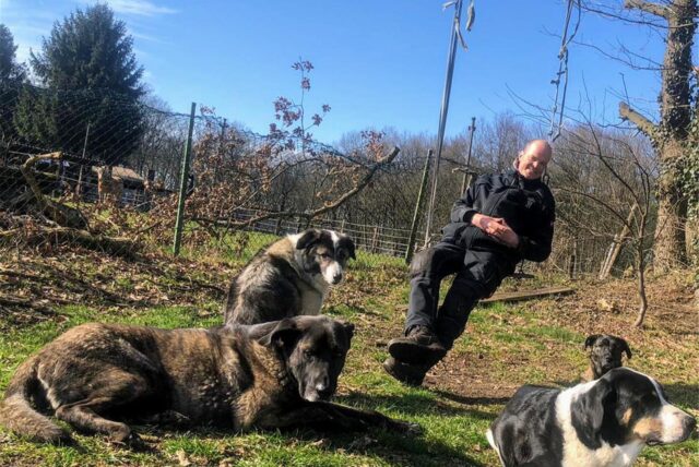 Ein Mann und seine vier Hunde sind draußen