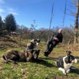 Ein Mann und seine vier Hunde sind draußen