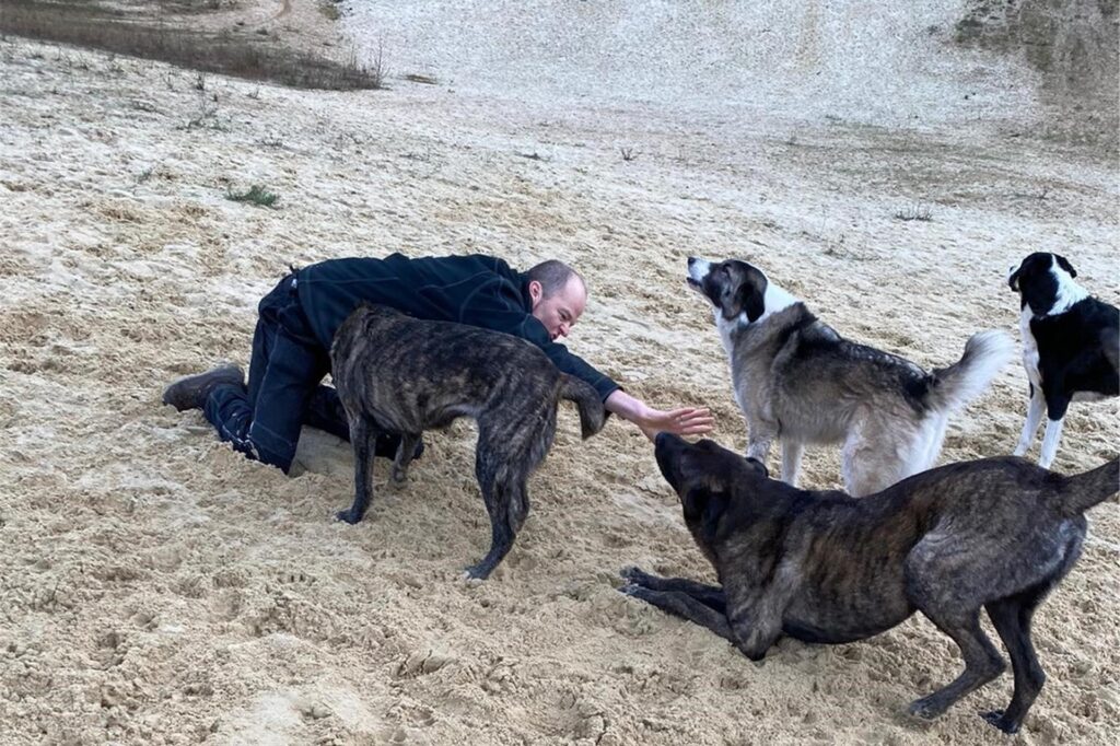 Harald spielt mit seinen vier Hunden