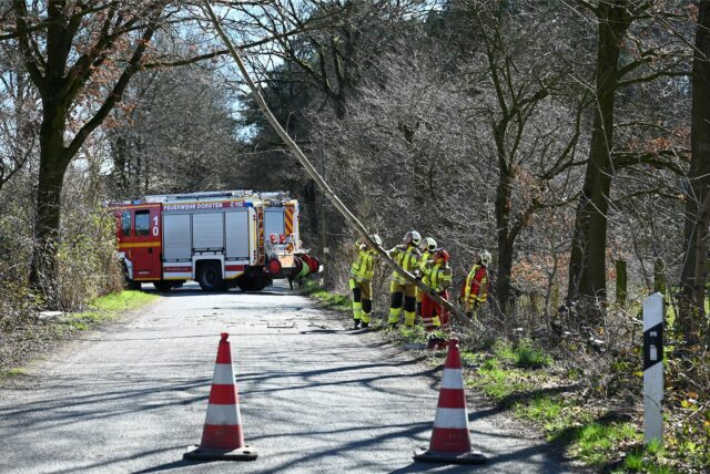 In Dorsten drohten zwei Bäume auf die Fahrbahn zu fallen.