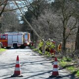In Dorsten drohten zwei Bäume auf die Fahrbahn zu fallen.