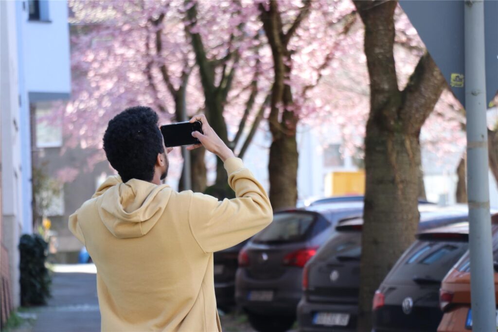 Der Frühling ist da - Ein Spaziergänger macht Bilder der blühenden Bäume