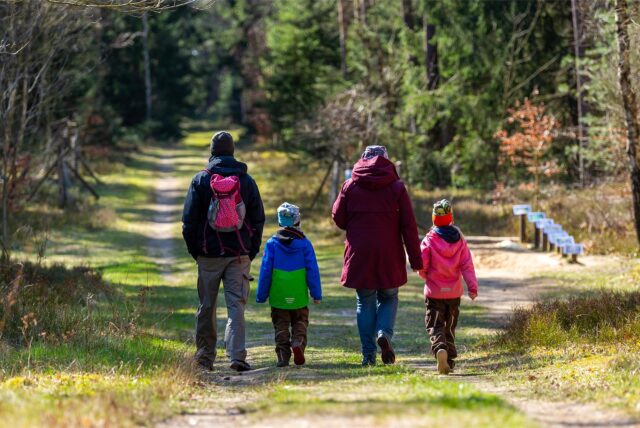 Eine Familie geht in einem Wald spazieren