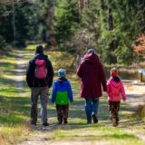 Eine Familie geht in einem Wald spazieren