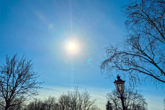 Blick zur Sonne Blauer Himmel mit einer Laterne und Ästen von bäumen