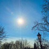 Blick zur Sonne Blauer Himmel mit einer Laterne und Ästen von bäumen