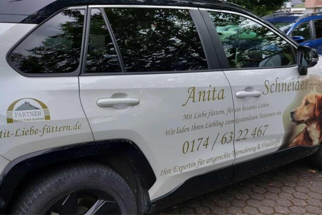 gestohlener Toyota RAV4