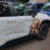 gestohlener Toyota RAV4