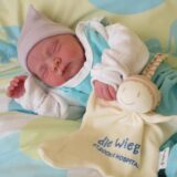 Svea liegt vor einem grün und blauen Hintergrund. Auf ihr liegt ein Kuscheltier auf welchem „Wiege, St. Rochus Hospital“ steht.