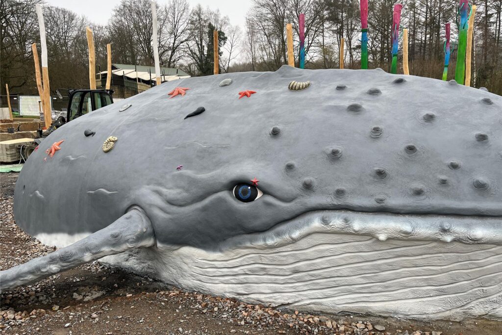 Ein Wal aus Beton liegt in der neuen Wasserlandschaft vom Ketteler Hof.