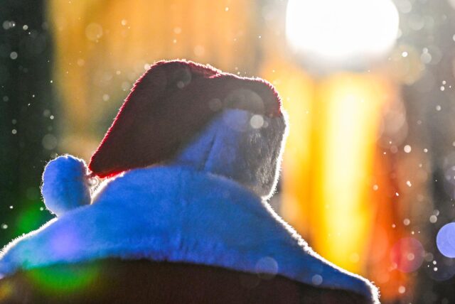 Ein Weihnachtsmann geht niedergeschlagen über den Weihnachtsmarkt