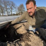 Landwirt Jan Menken an einem Erdwall mit freigelegten Spargelstangen.