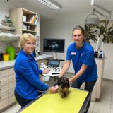 Dorothee Dickhöfer und ihre Tiermedizinische Fachangestellte Sonja Bonse untersuchen einen Dackel mit einem Ultraschallgerät.