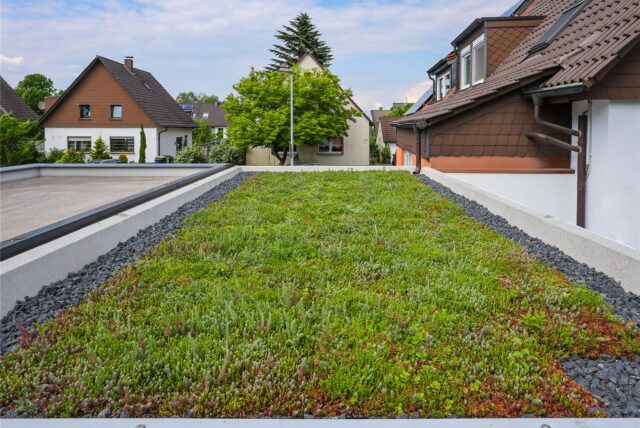 Garagendächer, Dächer von Anbauten oder Carports: Das alles sind Flächen, die gut begrünt werden können. Dachbegrünungen sind ein Baustein beim klimarobusten Umbau, sie können Regenwasser speichern und haben über Verdunstung auch einen Kühlungseffekt.