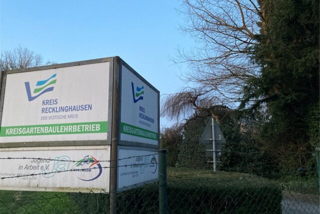 Ein Kubus steht auf einer Wiese.