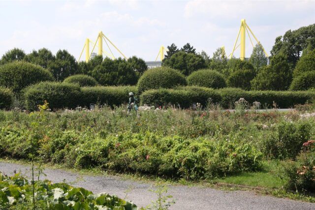 Die Rosenterrassen zwischen Westfalenhallen und Signal Iduna Park in Dortmund.