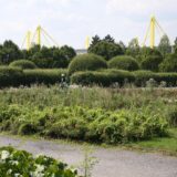 Die Rosenterrassen zwischen Westfalenhallen und Signal Iduna Park in Dortmund.