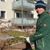 Ein Mitarbeiter des Abrissunternehmens Prümer bewässert im Januar 2023 Häuser, die im Walkmühlenweg in Huckarde abgerissen werden; ein Gärtner gießt im Walkmühlenweg vor den Häusern, die Vivawest frisch saniert hat, Blumen.