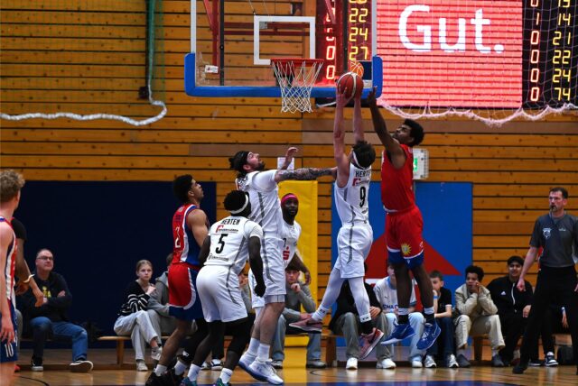 Erstes Playoff-Duell gegen BBG Herford – Hertener Löwen David Ewald Rebound.