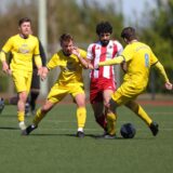 Viele Spieler im Kampf um den ball.