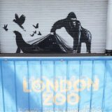 Das Kunstwerk von Banksy am Londoner Zoo zeigt das Bild eines Gorillas auf einem Rollladen, der einen Rollladen hochhebt, sodass Vögel und ein Seehund entkommen, während drei Augenpaare anderer Tiere in der Dunkelheit zu sehen sin