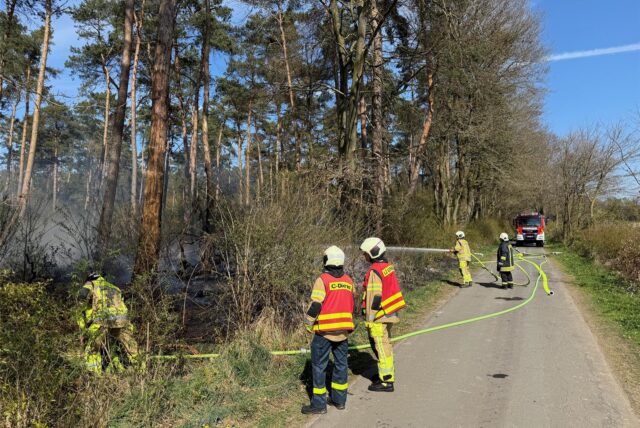 Feuerwehr löscht Waldbrandin Dorsten