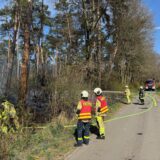 Feuerwehr löscht Waldbrandin Dorsten