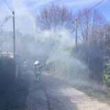 Rauch steigt aus einer Hecke empor. Davor stehen Feuerwehrleute unter Atemschutz und halten mit C-Rohren auf das Feuer.