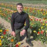 Landwirt Wilhelm Beckmann kniet zwischen den Tulpen auf seinem Blumenfeld zwischen Recklinghausen und Oer-Erkenschwick.
