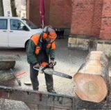 Ernst Franz mit Kettensäge an einem Baum in Schutzausrüstung auf dem Marktplatz in Haltern