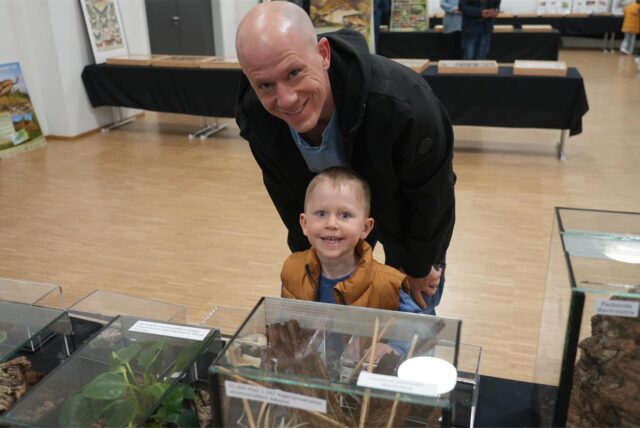 Insektenausstellung in der Dattelner Stadthalle.