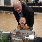 Insektenausstellung in der Dattelner Stadthalle.
