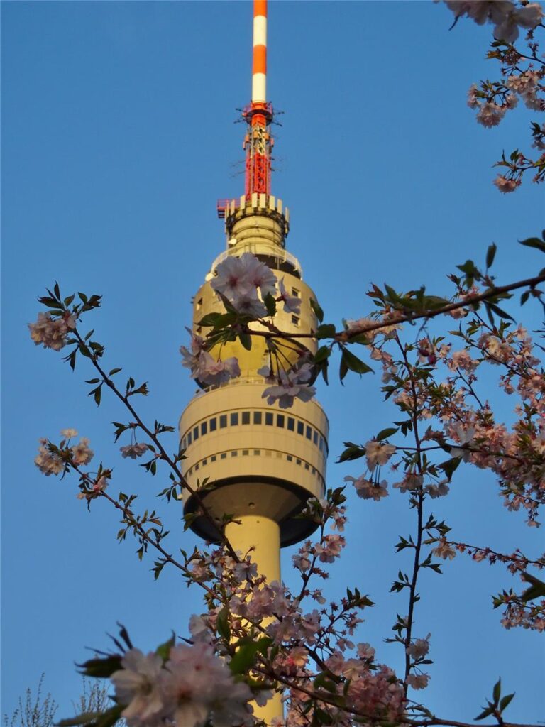 Frühlingsfotos aus dem Westfalenpark von Jiayi.