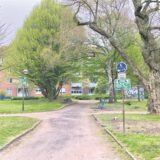 Der Eingang des Stutenteichparks von Westen.