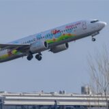 Ein fliegendes Flugzeug der Pegasus Airline.