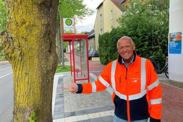 Michael Lauche, Chef des zentralen Betriebshofs, zeigt die in eine barrierefreie Bushaltestelle an der Hülsstraße integrierte Linde