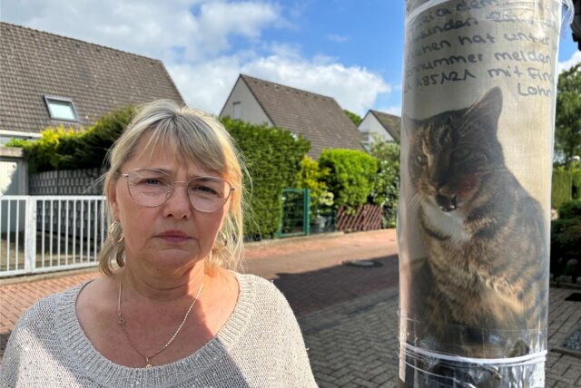 Roza Lautner steht an den Flachsbeckwiesen in Recklinghausen neben einem Vermisstenfoto ihres Katers