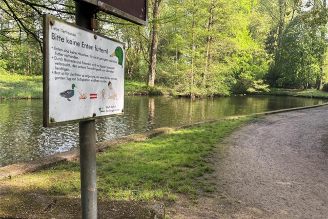 In diesem Teich im Bocholter Stadtwald ist am frühen Samstagmorgen, 26. April, eine Leiche entdeckt worden.