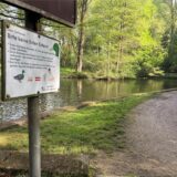 In diesem Teich im Bocholter Stadtwald ist am frühen Samstagmorgen, 26. April, eine Leiche entdeckt worden.