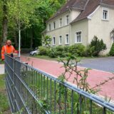 ZBH-Chef Michael Lauche zeigt einen frisch gepflanzten Alleebaum an der Hülsstraße. Im Vordergrund steht ein Zaungitter, das wildes Parken verhindern und ebenfalls frisch gepflanzte Buchenheckenpflanzen schützen soll.
